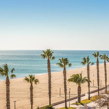 Stunning In Miami Platja With Swimming Pool Miami Playa